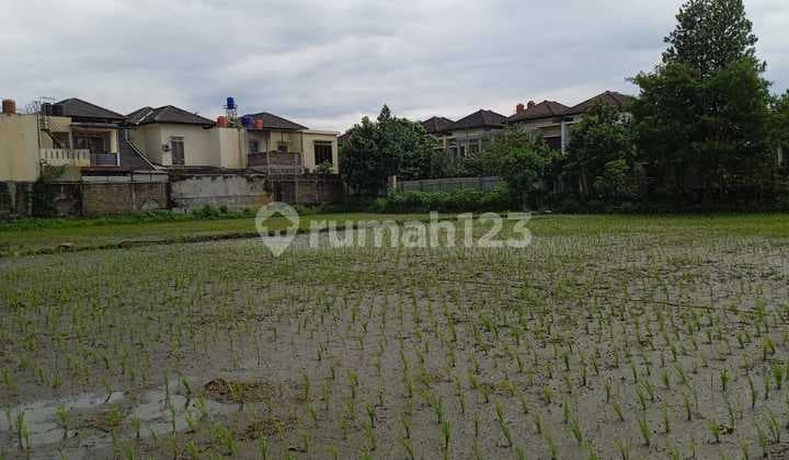 De Green Grande, Margacinta, Ciwastra. Tanah Sawah Luas di Kota Bandung