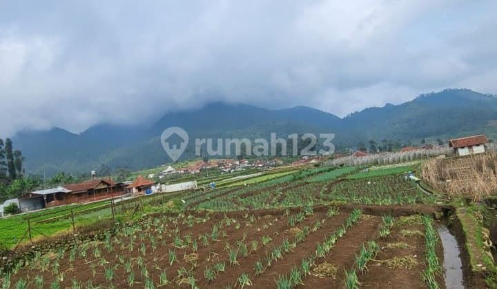 Hot Deal!!! Tanah Kebun di Jl Situ Kuluwing, Batu Kapur, Ciwidey, Soreang, Bandung