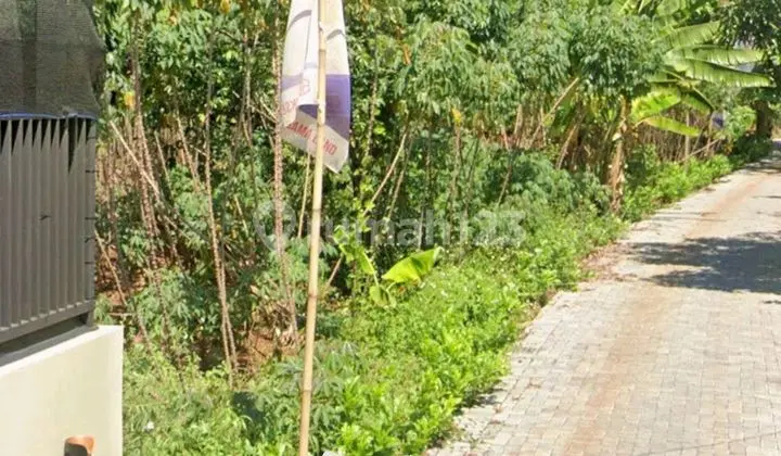 Tanah Cocok Untuk Dibangun Kos Di Tembalang
