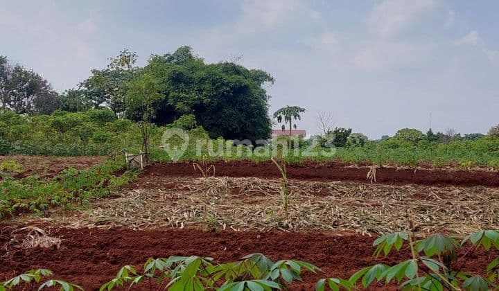 Cheap Land Ready to Build, Strategic Location in Limo, Depok.