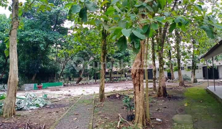For sale: Land and Building in Situgede Cifor, Bogor, West Java