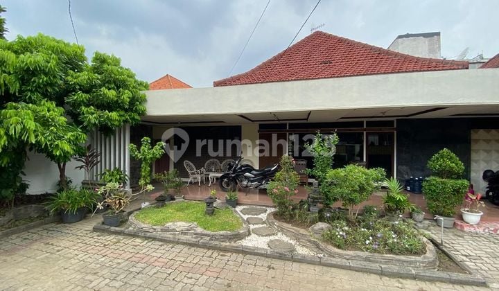 Rumah Mewah Klasik Area Raya Darmo Surabaya Kondisi Terawat