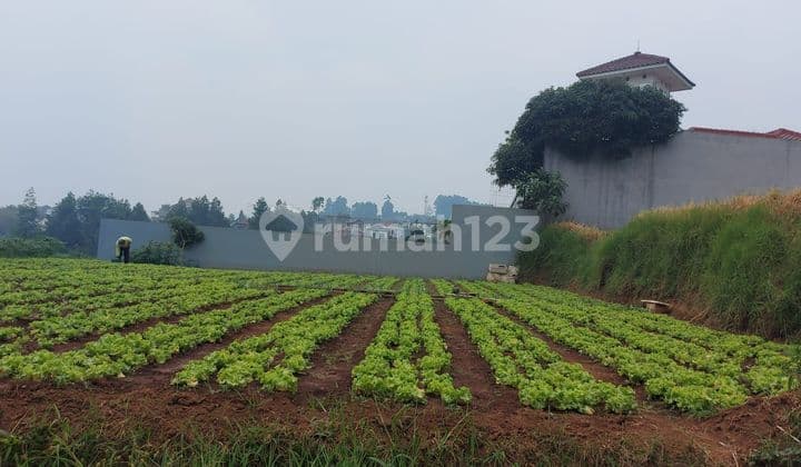Tanah di Setiabudi Regency, Bandung SHM