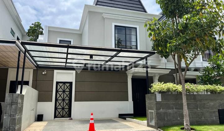 Mewah Pinewood Dkt Galaxy Mall Pakuwon City San Diego Long Beach