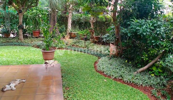 Rumah Hoek Asri Dan Tenang Harga Termurah di Puri Indah. 20415