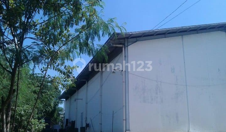 Gudang Bagus Jln Ry Pantura, Lokasi Strategis di Balaraja. 20443