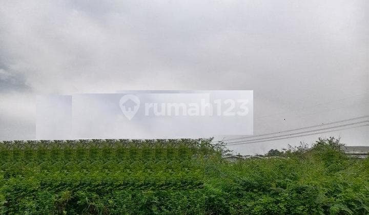 Tanah Dlm Kaw Industri, Dkt Gerbang Tol Dan Lrt di Sentul. 20120