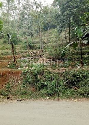 Tanah Cck Utk Komersial, Wisata, Jln Lintas Prop. di Bogor. 15830