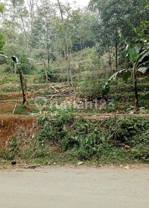 Tanah Cck Utk Komersial, Wisata, Jln Lintas Prop. di Bogor. 15830