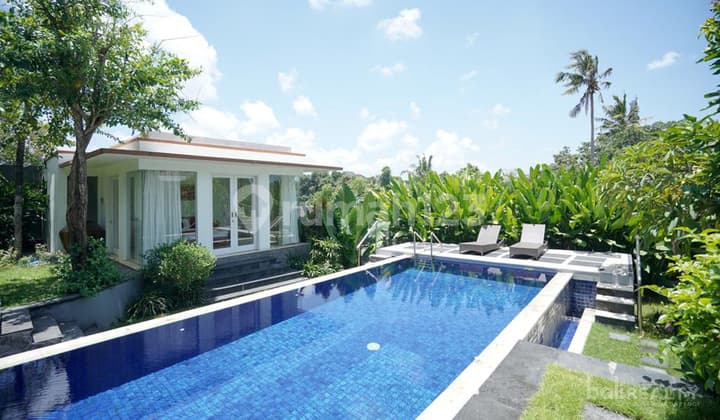 Freehold Four bedroom Canggu Villa On 10 Are Unbeatable Value 2520 cl