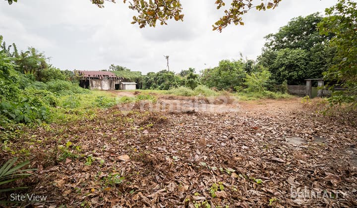Ready To Build 30 Are Freehold Land With Scenic Nature Views In Cepaka Best Value Deal 2620 L
