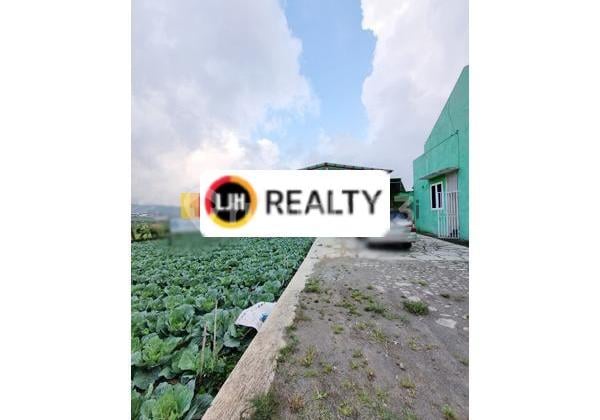 Tempat Usaha di Batur Dieng Wonosobo Jawa Tengah