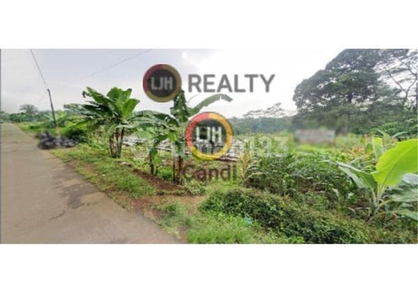 Kavling di Cemara Rowogandu Gedong Patean Sukorejo Kendal Jawa Tengah