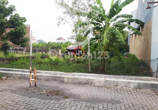 Plot in Tlogomulyo Semarang