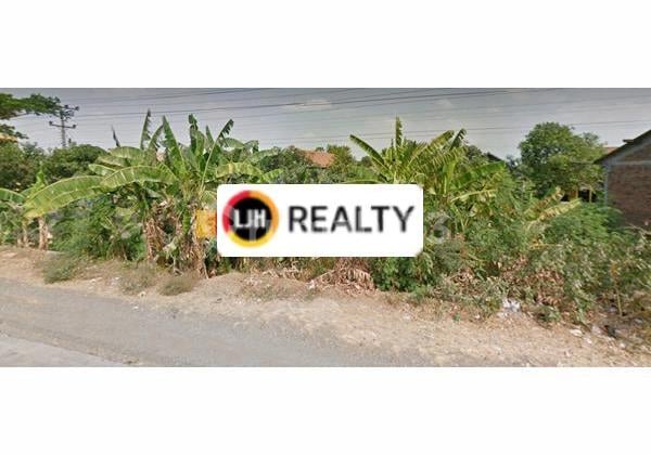 Kavling di Semarang Demak Jawa Tengah Kavling di Semarang Demak Jawa Tengah