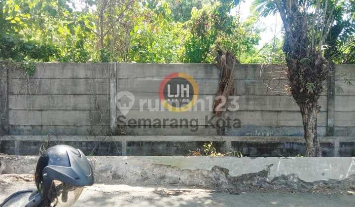 Kavling di jalan Raden Patah Kavling di jalan Raden Patah