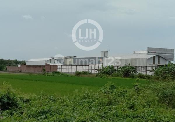 Kavling di Juwana, Pati