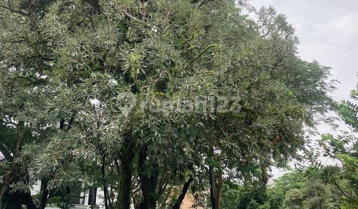 Dijual Tanah 270m2 Hoek Selatan Barat ( Bonus Fasum ) di Verdant View The Icon BSD City Tangerang siap bangun can