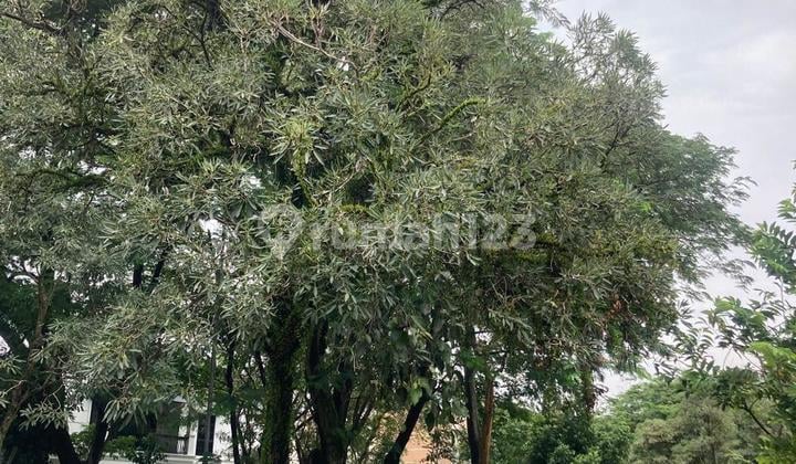 Dijual Tanah 270m2 Hoek Selatan Barat ( Bonus Fasum ) di Verdant View The Icon BSD City Tangerang siap bangun can