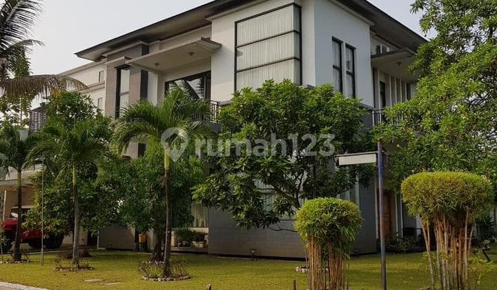 Dijual Rumah Hoek 2 Lantai Sutera Magnolia Alam Sutera Bagus Siap Huni Lin