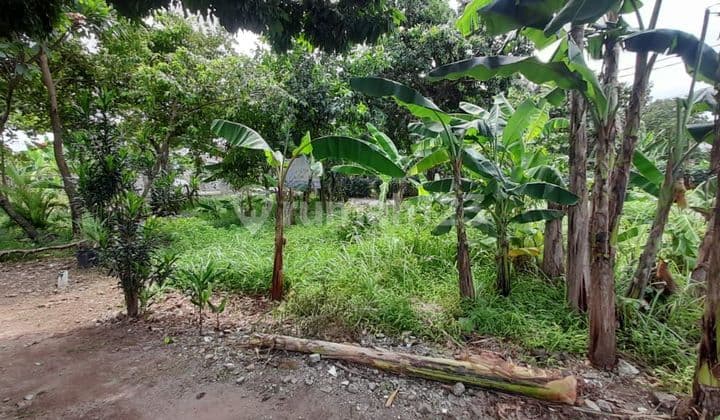 Strategis, Tanah 300 M², SHM, untuk Rumah Tinggal atau Usaha Kost2an