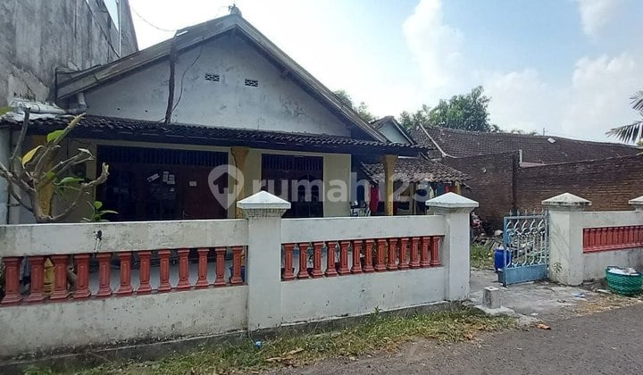 Tanah Pekarangan Bonus Rumah Lokasi Strategis Dekat Jalan Raya