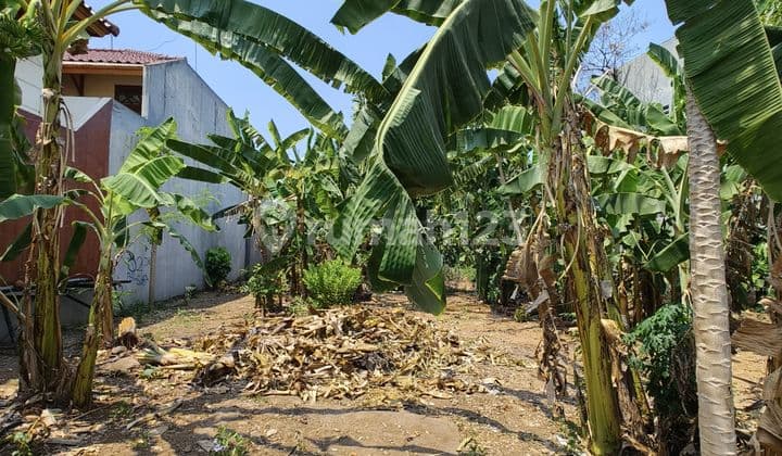 Jual Tanah Murah Cocok Untuk Cluster Di Duren Sawit Jakarta Timur