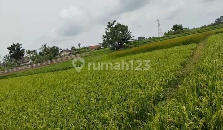 Dijual Tanah Pinggir Jalan di Cikande Tangerang