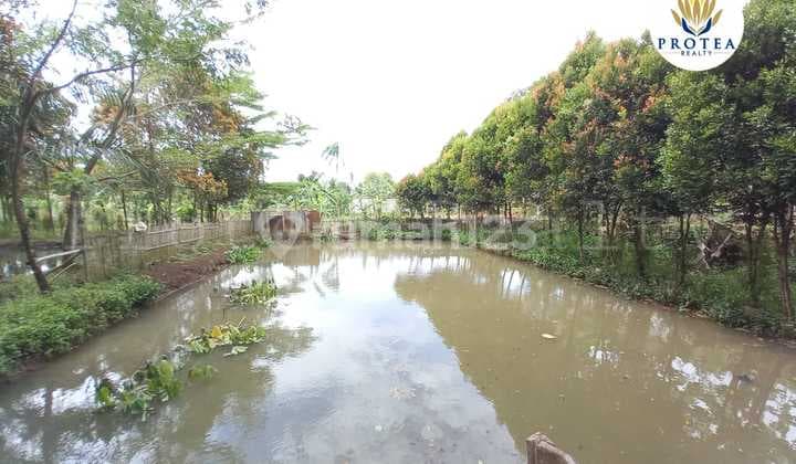 Turun Harga, Kavling Tanah Di Cidokom, Gunung Sindur