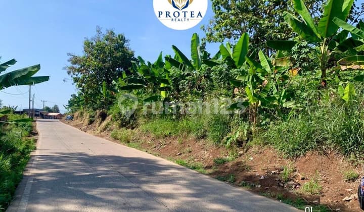 DIJUAL TANAH LUAS DI CIANJUR