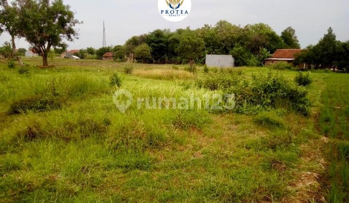 Dijual Tanah Bekas Sawah di Kedawung Cirebon