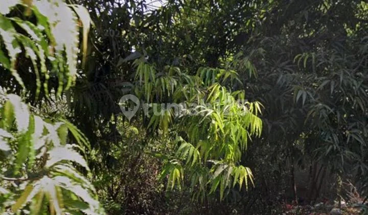 Commercial Plot in the Weru-Sumber Route, Cirebon Commercial Plot in the Weru-Sumber Route, Cirebon