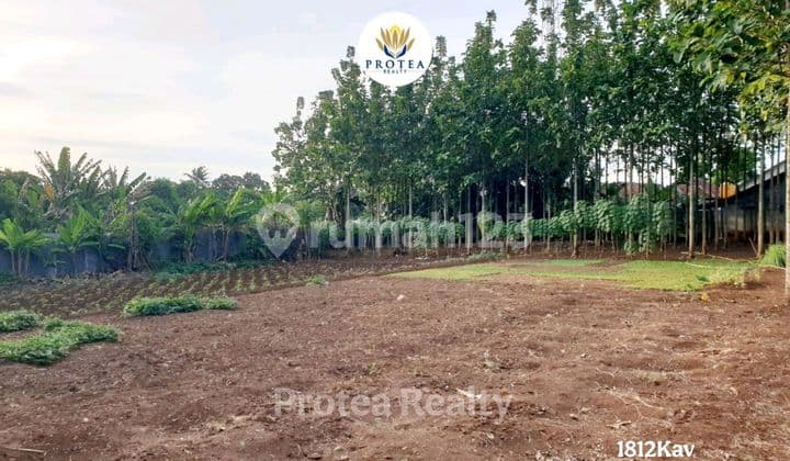 Tanah Luas 1.860M², Lingkungan Asri & Potensi Besar untuk Perumahan