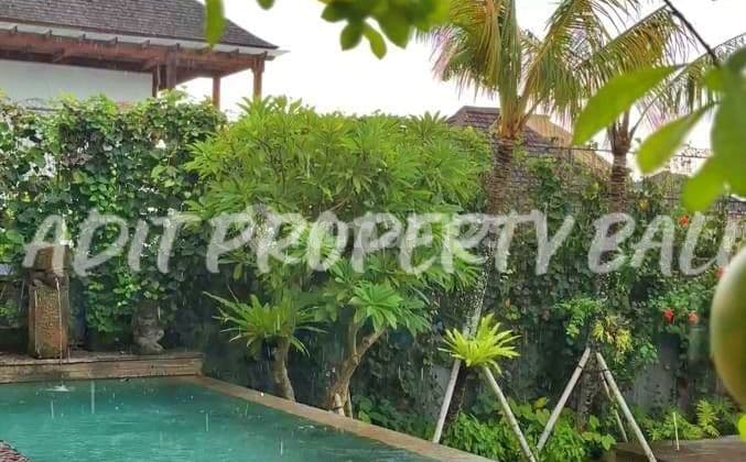 Villa Luxury Kayu Tulang Canggu Bali