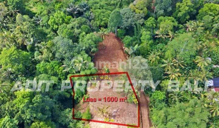 Tanah View Jungle & Sungai Payangan Ubud Gianyar