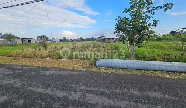 Five Beach Pererenan Mengwi Badung Land