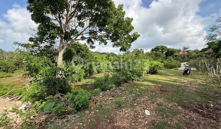 Tanah Belimbing Sari Pecatu Badung Bali