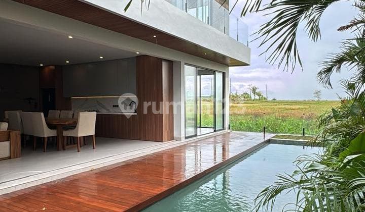 Villa Baru dengan Pemandangan Sawah di Kaba Kaba Tabanan