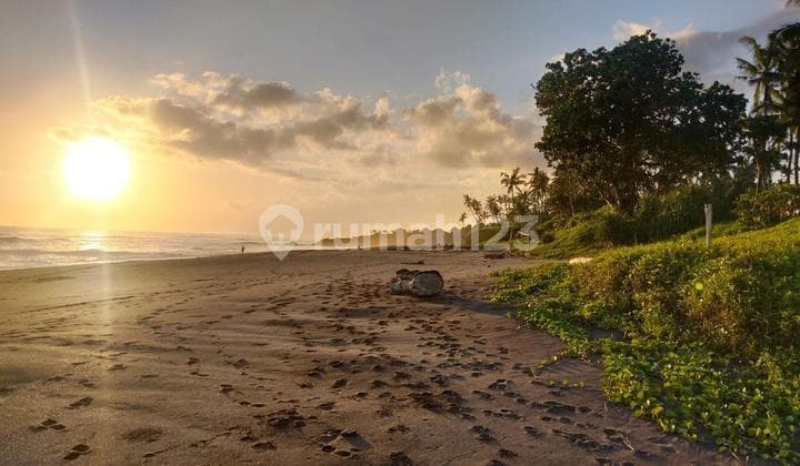 Tanah Beachfront Pantai Kedungu Kediri Tabanan