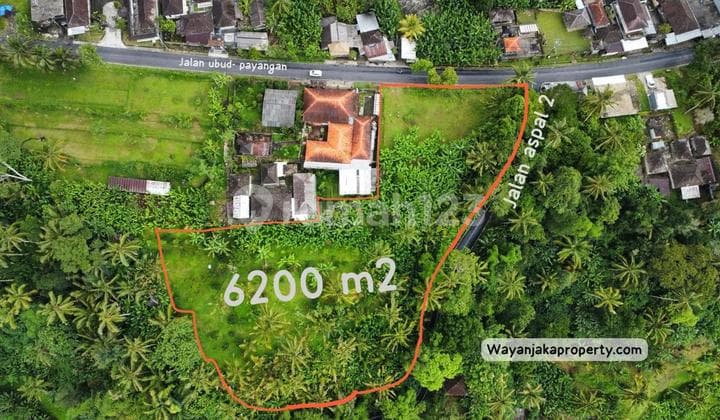 Tanah View Jungle & Lembah Premium Raya Payangan Ubud