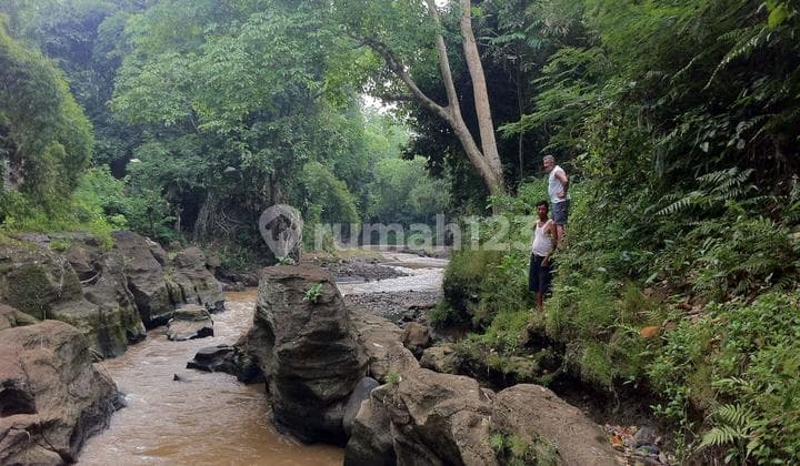 Land Los Sungai Kedungu Kediri Tabanan