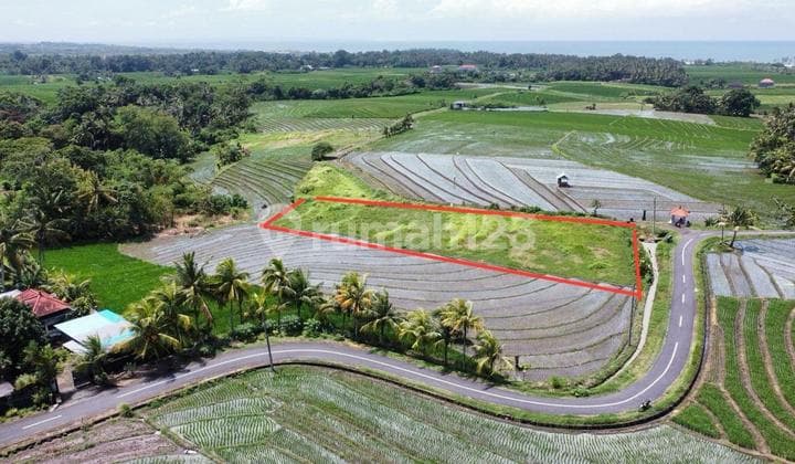 Tanah Murah Beraban Tabanan Bali