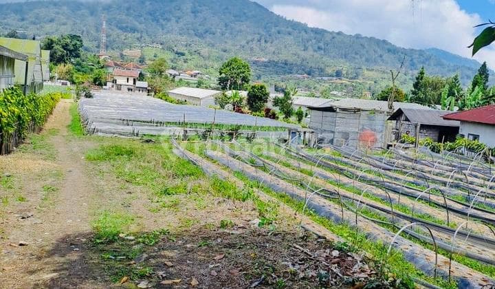 Tanah view danau bedugul bali