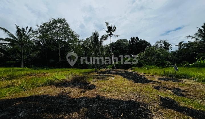 Tanah Payangan Ubud