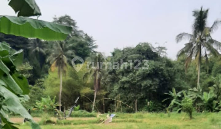 Dijual Tanah & Sawah di Ciganea - Purwakarta Dijual Tanah & Sawah di Ciganea - Purwakarta