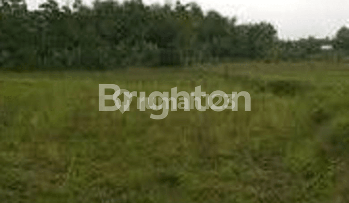 KOMERSIAL DAN MURAH REKK TANAH RAYA PAGESANGAN JAMBANGAN !! KOMERSIAL DAN MURAH REKK TANAH RAYA PAGESANGAN JAMBANGAN !!