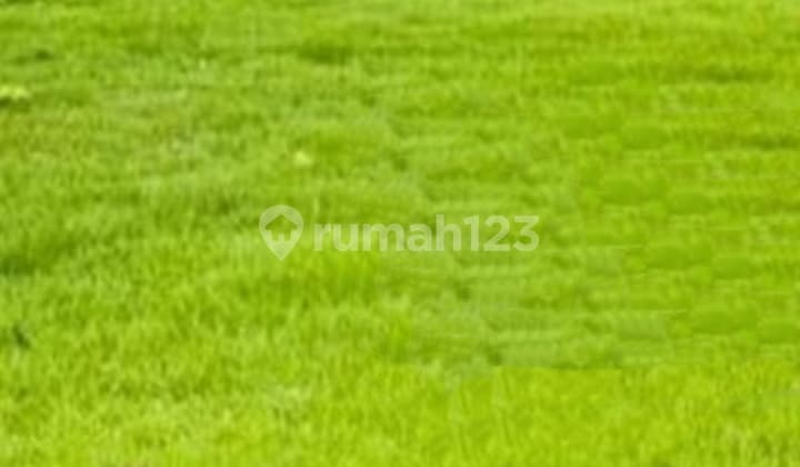 Kavling Siap Bangun Di Wisata Bukit Mas Dekat Graha Dan Citraland