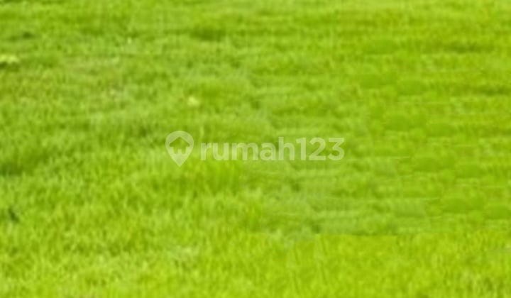 Kavling Siap Bangun Di Wisata Bukit Mas Dekat Graha Dan Citraland