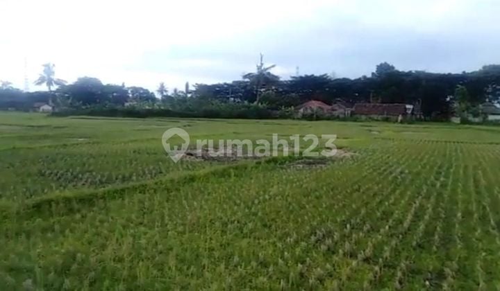 MURAH Kavling Komersil 13.100M2 Jalan Raya Bandung-Cianjur 15 menit dari Pusat Kota Cianjur
