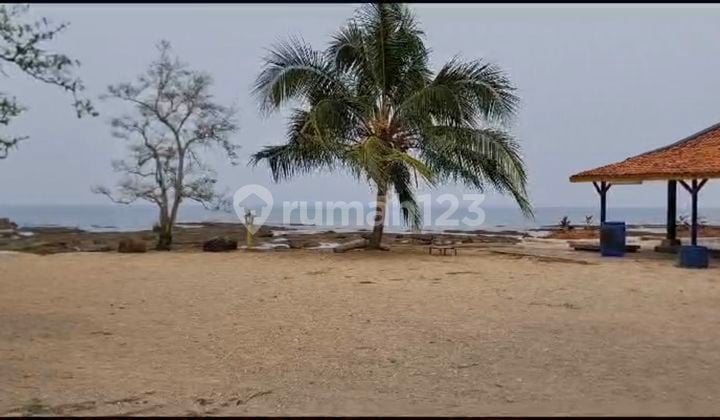Murah Kavling 10 Ha Tepi Pantai Carita View Laut Cocok untuk Tempat Wisata, Hotel, Perumahan Mewah